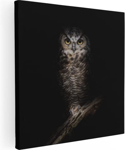 Artaza Canvas Schilderij Dierenkop Uil - 30x30 cm - Klein - Wanddecoratie Dieren - Muurdecoratie Vogel - Kamer Accessoires