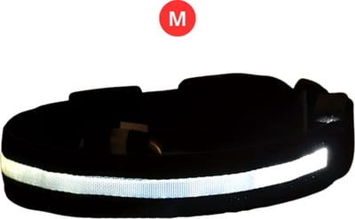 Nivard Lichtgevende Halsband - Verlichte Halsband - Lichtgevend - Hond - Kat - Lampje - Hondenhalsband Led - Nekband - Wit M