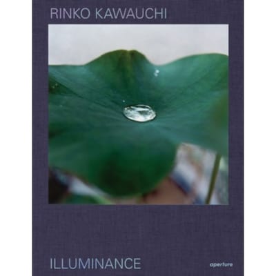Rinko Kawauchi: Illuminance - Shinohara Masatake