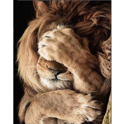 Peinture diamant thème animaux Lion timide, broderie 5D à faire soi-même, point de croix, décoration d'intérieur, cadeau 20X30CM brown