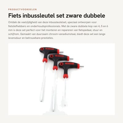 Dailygoods- Inbussleutelset Zware Dubbele Kop 4/5/6 mm - Fietsgereedschap Koffer - Fietsgereedschap Set - Montage - Reparatie - Onderhoud