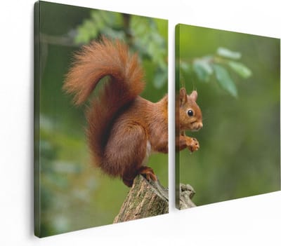 Artaza Canvas Schilderij Tweeluik Eekhoorn op een Boomstam in het Bos - 120x80 - Foto Op Canvas - Canvas Print