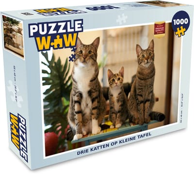 Puzzel Drie katten op kleine tafel - Legpuzzel - Puzzel 1000 stukjes volwassenen