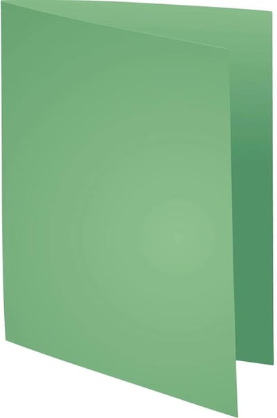 Exacompta 5x SUPER 60 - Pak van 250 inlegmappen - 22x31cm voor A4 - Lichtgroen - 850004E