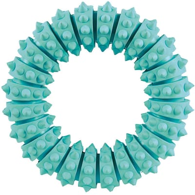Trixie Denta Fun Ring Kauwspeeltje van Natuurlijk Rubber met Muntsmaak 12cm