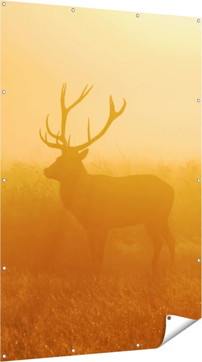 Gards Tuinposter Hert tijdens de Mist - 120x180 cm - Tuindoek - Tuindecoratie - Wanddecoratie buiten - Tuinschilderij