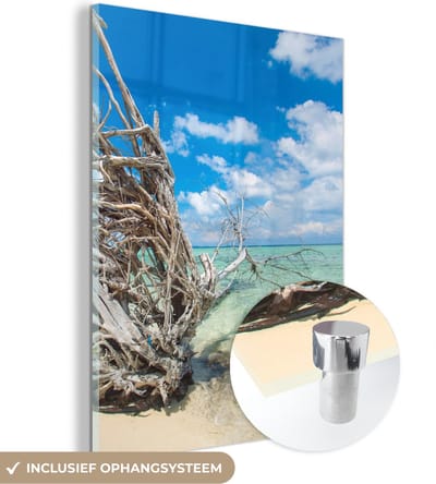 MuchoWow® Glasschilderij 30x40 cm - Schilderij acrylglas - Strand - Takken - Tropisch - Zee - Foto op glas - Schilderijen