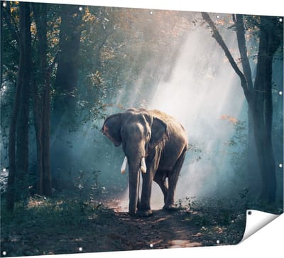 Gards Tuinposter Olifant in het Bos met Zonneschijn - 160x120 cm - Tuindoek - Tuindecoratie - Wanddecoratie buiten - Tuinschilderij