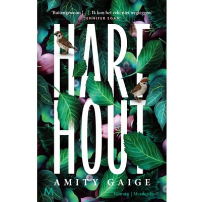Harthout - Amity Gaige