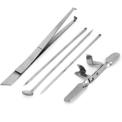 5 Stuks Kapoen Mes Gereedschap Roestvrij Staal Kit Pluimveebedrijven Veterinair Instrument voor Kip