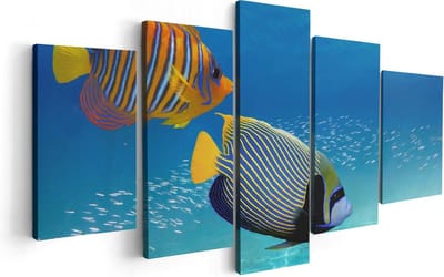 Artaza Canvas Schilderij Vijfluik Twee Tropische Vissen in de Rode Zee - 100x50 - Foto Op Canvas - Canvas Print