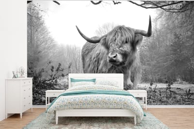 Behang - Fotobehang Schotse hooglander - Natuur - Herfst - Dieren - Wild - Bos - Breedte 400 cm x hoogte 300 cm