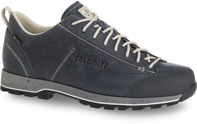 Dolomite Cinquantaquattro Low Fg Evo Gore-tex® Wandelschoenen Grijs EU 40 2/3