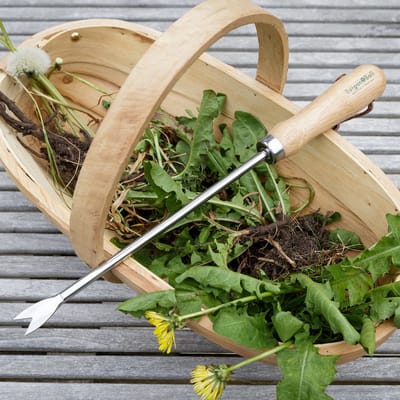 Burgon & Ball RHS Onkruidsteker – Verlengd – Gemakkelijk onkruid verwijderen – FSC en RHS gecertificeerd