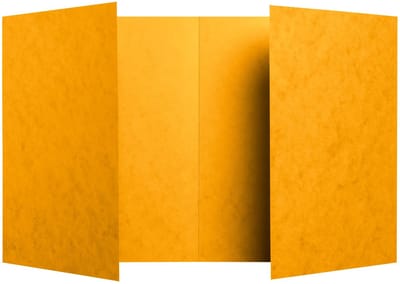 Exacompta 100x Schriftomslag in glanskarton 225g - 17x22 cm - Geel - 32129E