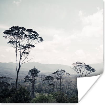 Poster Bomen - Lucht - Natuur - 100x100 cm XXL