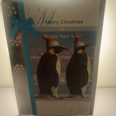 5 Kerst Nieuwjaar Wenskaarten Engels - Merry Christmas - Happy New Year - Pinguin Koord - Christmas - Weihnachten - Noel - Rechthoek 11,5x17cm - Met Envelop