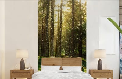 Behang - Fotobehang Bomen - Bos - Mos - Planten - Zon - Natuur - Breedte 120 cm x hoogte 240 cm