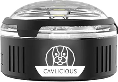 Cavlicious® hondenlichtje - multicolor - usb-C oplaadbaar - led - met clip en rubberen bandbevestiging