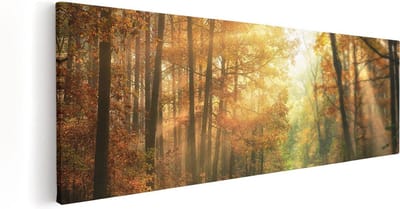 Artaza Canvas Schilderij Herfstbos - 60x20 cm - Wanddecoratie Bomen - Muurdecoratie Zonlicht - Kamer Accessoires Natuur