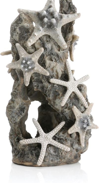 biOrb Aquarium decoraties, steen zeester aquarium ornament (grijze kleur), prachtig gedetailleerde kunstmatige aquarium accessoires om kleur toe te voegen, natuurlijk ogende aquariumdecoratie voor