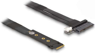 Delock M.2 Key M to U.2 SFF-8639 NVMe Adapter with 20 cm cable