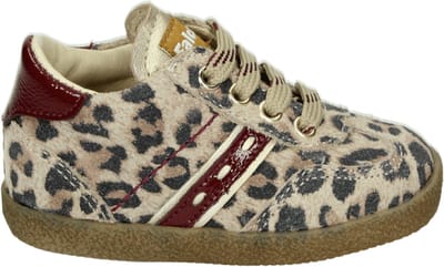 Falcotto - SALEO SUEDE - Lage schoenen - Kleur: Bruin - Maat: 19