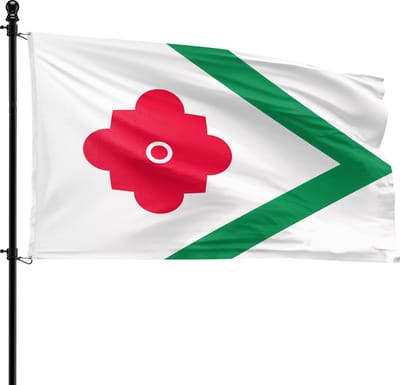 VlagDirect - Landerd vlag - Gemeente Landerd vlag - 90 x 150 cm.