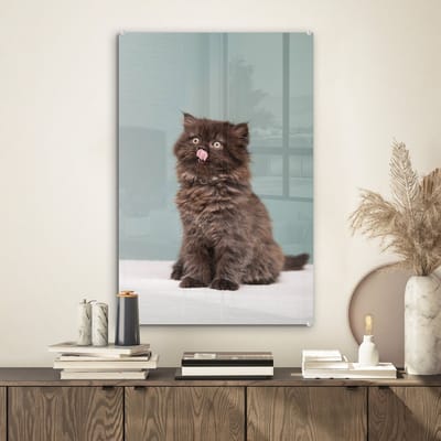 MuchoWow® Glasschilderij 40x60 cm - Schilderij acrylglas - Kitten - Perziche Kat - Tong - Meisjes - Kinderen - Jongens - Kids - Foto op glas - Schilderijen