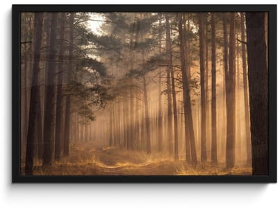 Poster in lijst - Fotolijst 60x40 cm - Posters - Bos - Mist - Zonlicht - Posterlijst zwart - Decoratie - Wanddecoratie woonkamer - Muurdecoratie slaapkamer