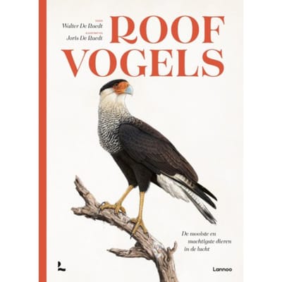 Roofvogels - Walter De Raedt