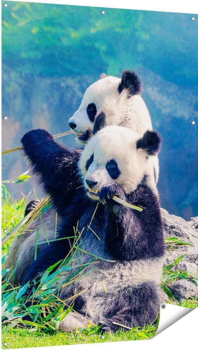 Gards Tuinposter Twee Panda's Eten Bamboe Riet - 100x150 cm - Tuindoek - Tuindecoratie - Wanddecoratie buiten - Tuinschilderij