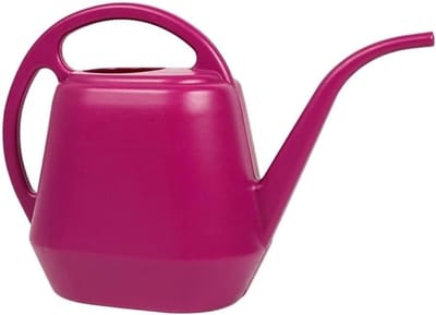 Gieter Sproeier Kunststof Gieter Tuin Bloem Voor Kamerplanten Huishoudelijke Gieters Voor Buiten Planten Tuin Gieters Spuitfles Gieters (Color : Rose Red, Size : 38 * 20 * 24.5cm)