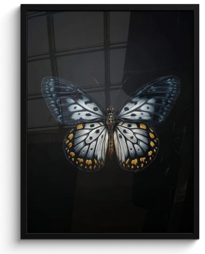 Poster in lijst - Fotolijst 50x70 cm - Posters - Vlinder - Monochroom - Balans - Posterlijst zwart - Decoratie - Wanddecoratie woonkamer - Muurdecoratie slaapkamer