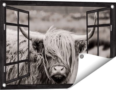 Gards Tuinposter Doorkijk Schotse Hooglander Koe - Zwart Wit - 60x40 cm - Tuindoek - Tuindecoratie - Wanddecoratie buiten - Tuinschilderij
