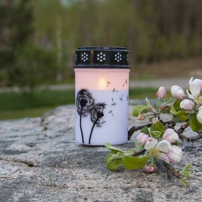 Star Trading 064-97-1 decoratieve verlichting Lichtdecoratie figuur 1 gloeilamp(en) LED 0,02 W