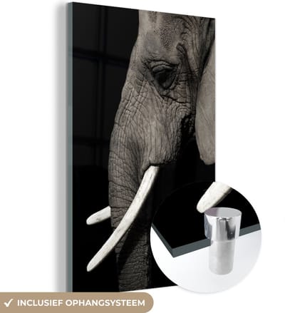 MuchoWow® Glasschilderij 40x60 cm - Schilderij acrylglas - Olifant - Dier - Slagtand - Foto op glas - Schilderijen