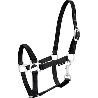 Zwart Veulen Halster YORK - Verstelbaar en Zacht