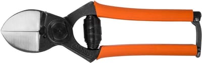 Dubbele Snoeischaar 19 cm voor Blauwe Bes en Fruitbomen