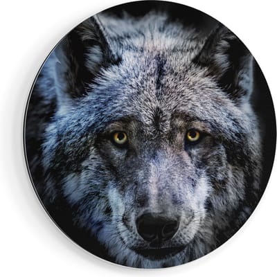 Artaza Dibond Muurcirkel Grijze Wolvenkop - Wolf - Ø 40 cm - Klein - Wandcirkel - Rond Schilderij - Voor Binnen en Buiten