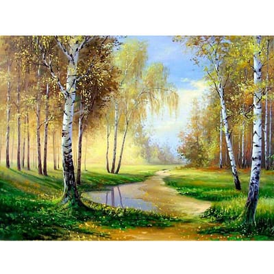 DIY Diamond Painting Volledige Boor Landschap Berkenboom Diamant Borduurwerk Landschap Strass Schilderij 40X50CM