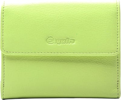 Esquire Leren Portemonnee Viktoria Little Wallet Lime Lichtgroen