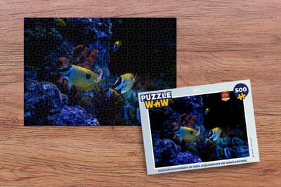Puzzel Aquariumvissen in een aquarium in Singapore. - Legpuzzel - Puzzel 500 stukjes