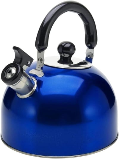 Geklokte Waterketel - Theepot RVS - Water Koken - Verdikte Bodem - 3 Liter - Blauw