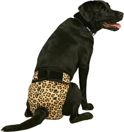Sharon B Loopsheidbroekje hond - Luipaard - Maat XL - Wasbaar - Verstelbaar 48-69 cm - Hondenluier