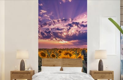 Behang - Fotobehang Bloemen - Lucht - Paars - Zonnebloem - Zonsondergang - Breedte 120 cm x hoogte 240 cm
