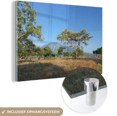 ® Glasschilderij 180x120 cm - Schilderij acrylglas - De savanne onder een helder lucht in het Nationaal Park Baluran in Indonesië - Foto op glas - Muurdecoratie woonkamer - Wanddecoratie slaapkamer - Schilderijen