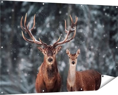 Gards Tuinposter Twee Herten met Sneeuw - 150x100 cm - Tuindoek - Tuindecoratie - Wanddecoratie buiten - Tuinschilderij