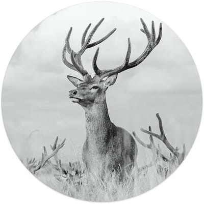 Glasschilderij Statig hert - Ø 50 - Glas - REINDERS