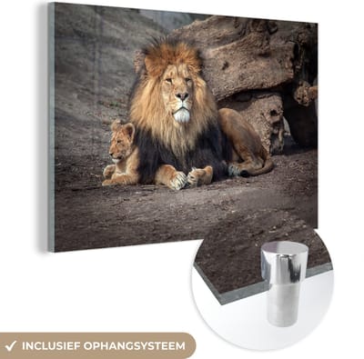 MuchoWow® Glasschilderij 60x40 cm - Schilderij acrylglas - Dieren - Wild - Kleuren - Foto op glas - Schilderijen